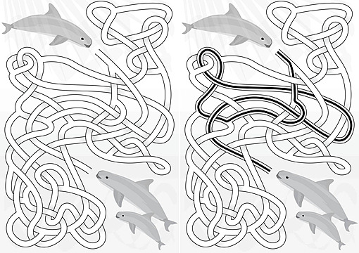 Vaquita maze drawing net marine vector drawing net marine png and vector with transparent background for free download