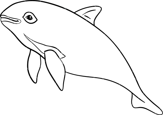 Vaquita marine outline illustration