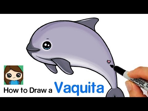 How to draw a vaquita porpoise