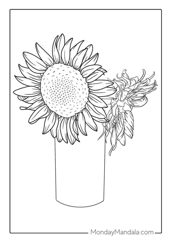 Sunflower coloring pages free pdf printables