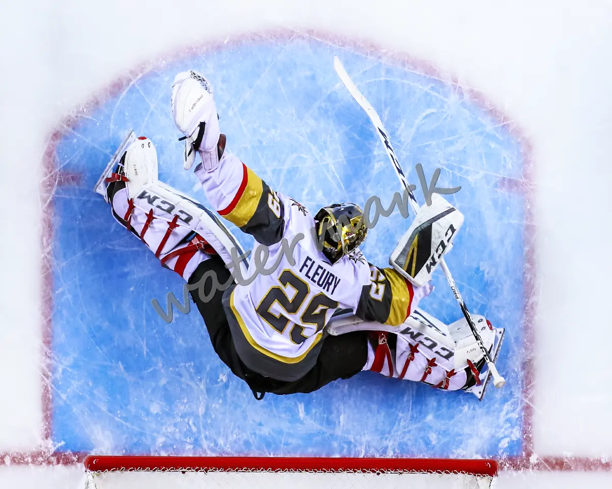 Nhl las vegas golden knights goalie marc