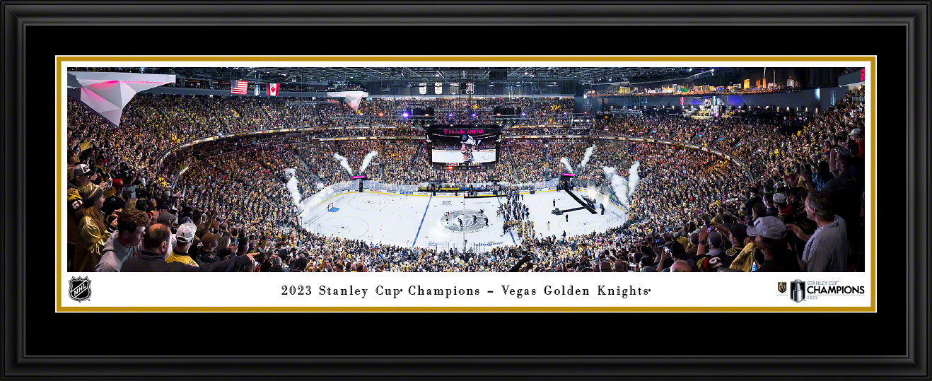 Stanley cup champions fan cave decor