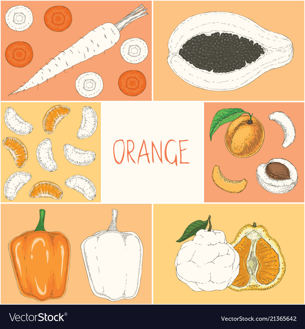 Coloring book page orange fruits and vegetables vector image