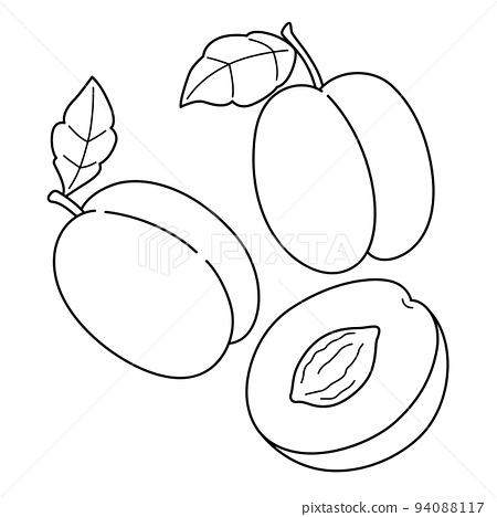 Plum fruit vegetable isolated coloring page