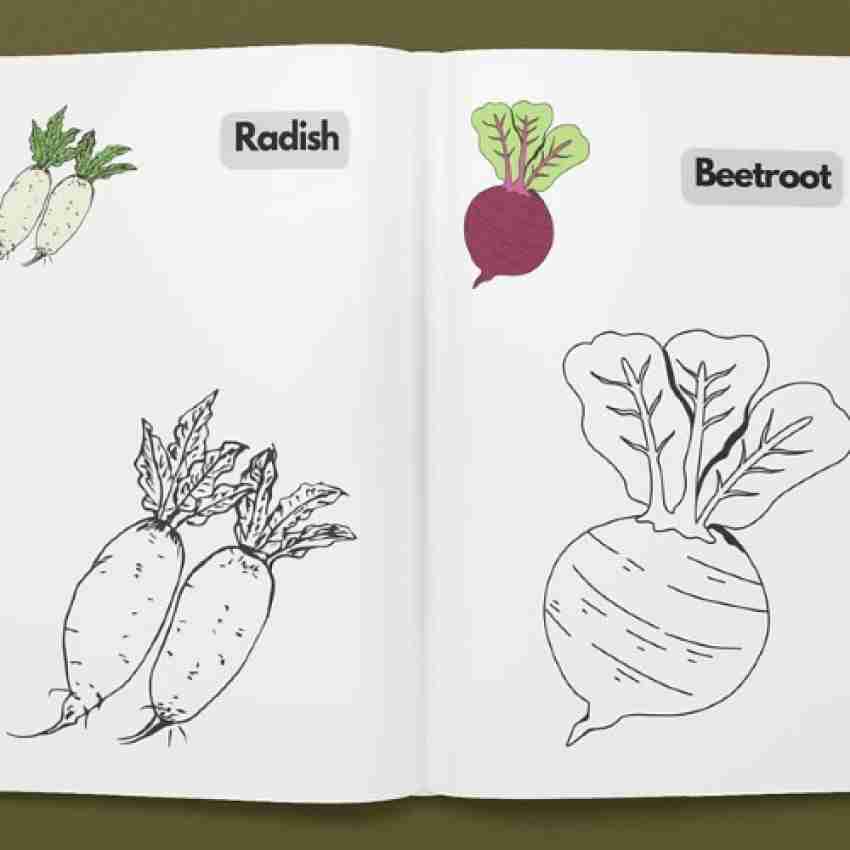 Bo book for kids coloring book animal vegetables fruits numbers buy bo book for kids coloring book animal vegetables fruits numbers by ink of knowledge at low price in india