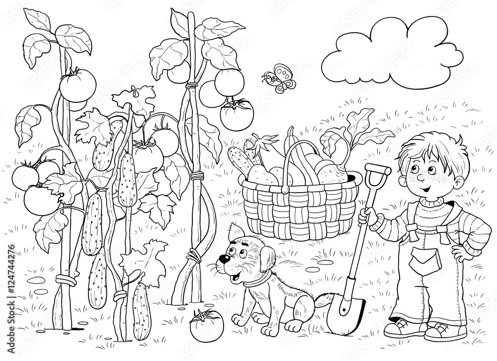 In the garden a cute boy and vegetables tomatoes cucumbers eggplant zucchini illustration for children coloring book coloring page funny cartoon characters illustration