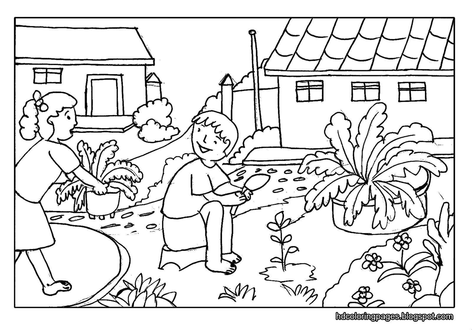 Online coloring pages coloring page plant vegetable garden coloring download and print free