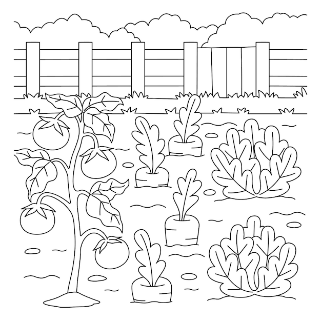 Premium vector vegetable field coloring page for kids