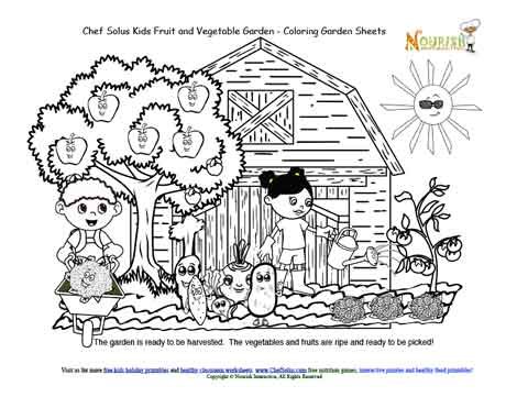 Chef solus kids garden story