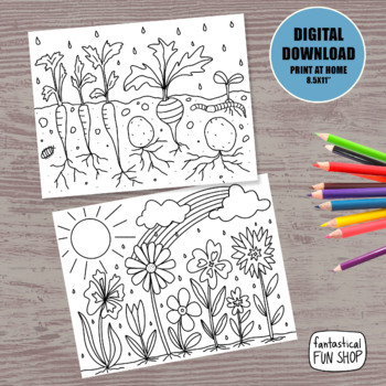 Spring theme coloring pages vegetable garden flower garden nature worksheets