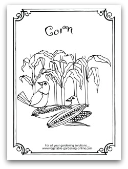 Free vegetable garden coloring books