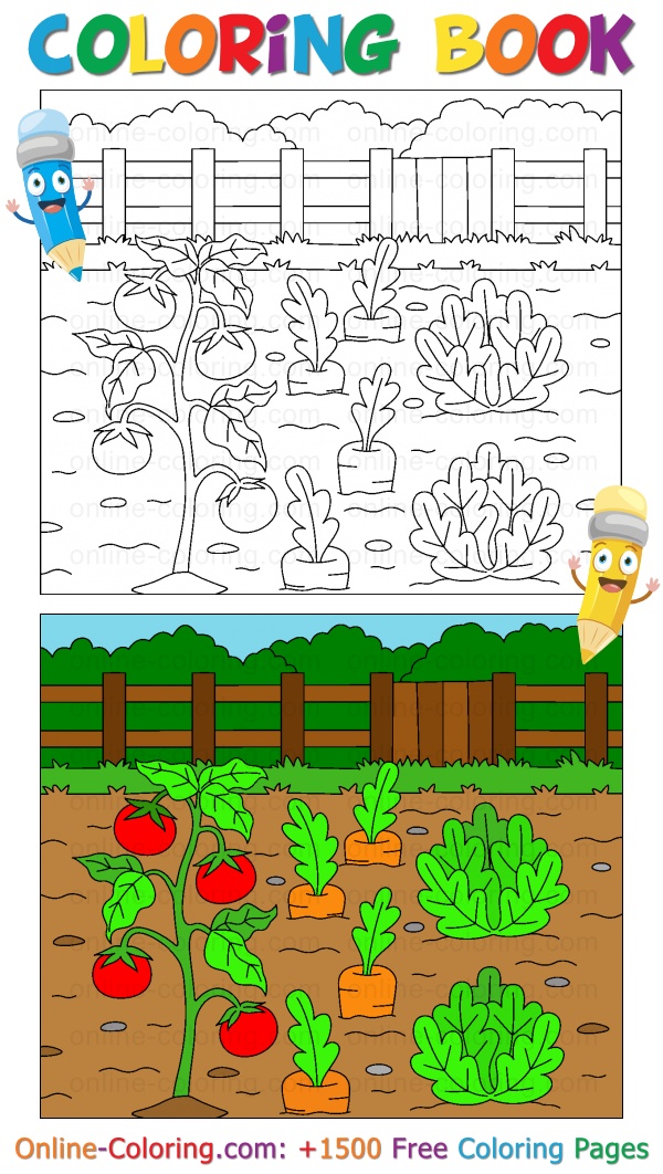 Vegetables growing in the garden free online coloring page