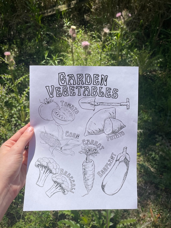 Garden vegetables coloring page plant and nature coloring page homeschooling herbalism for kids gardening coloring page