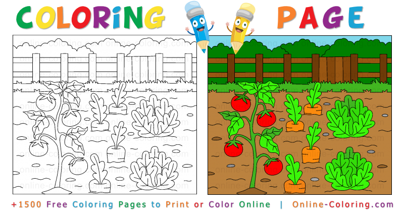 Vegetables growing in the garden free online coloring page