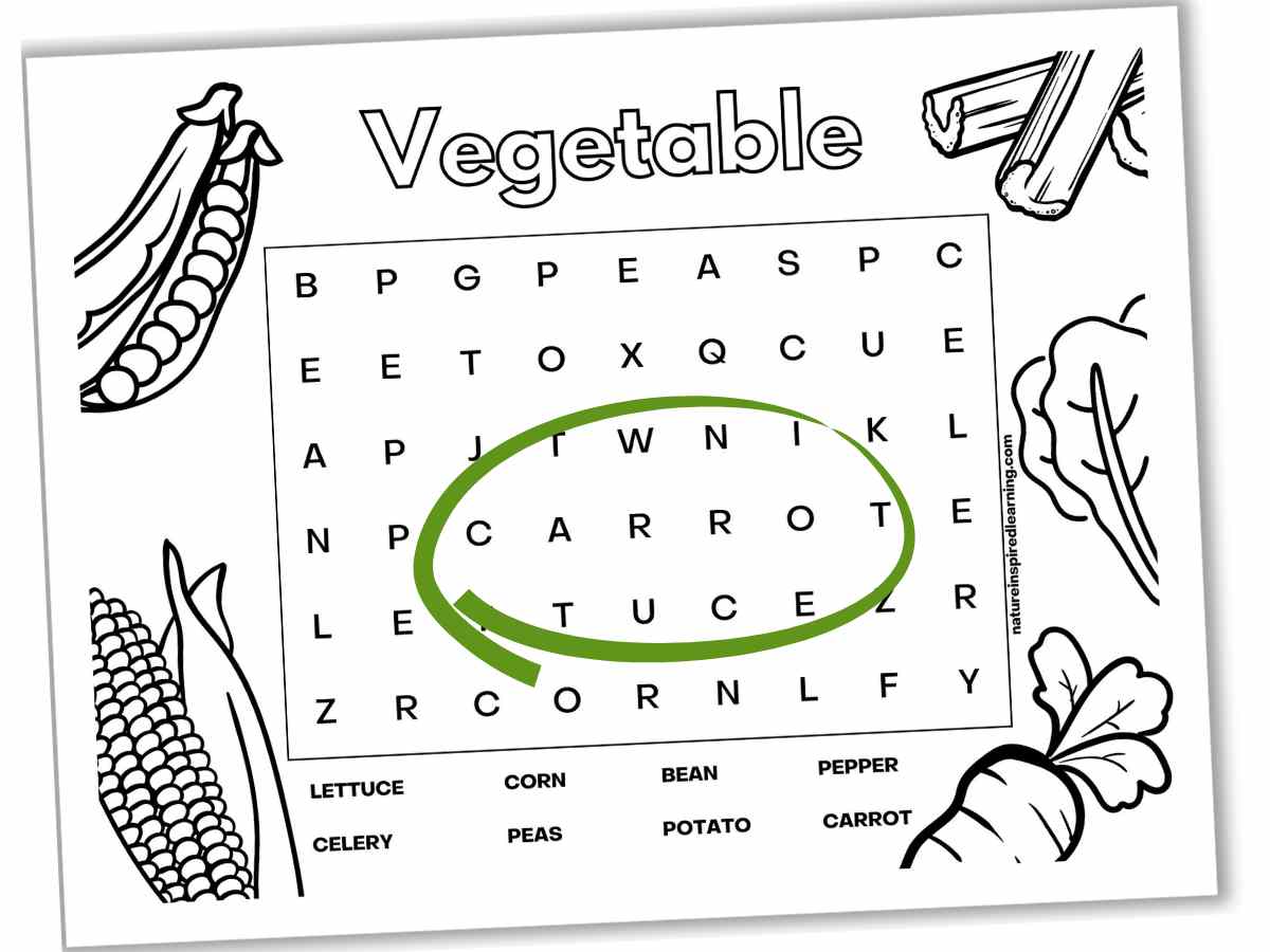 Vegetable word searches