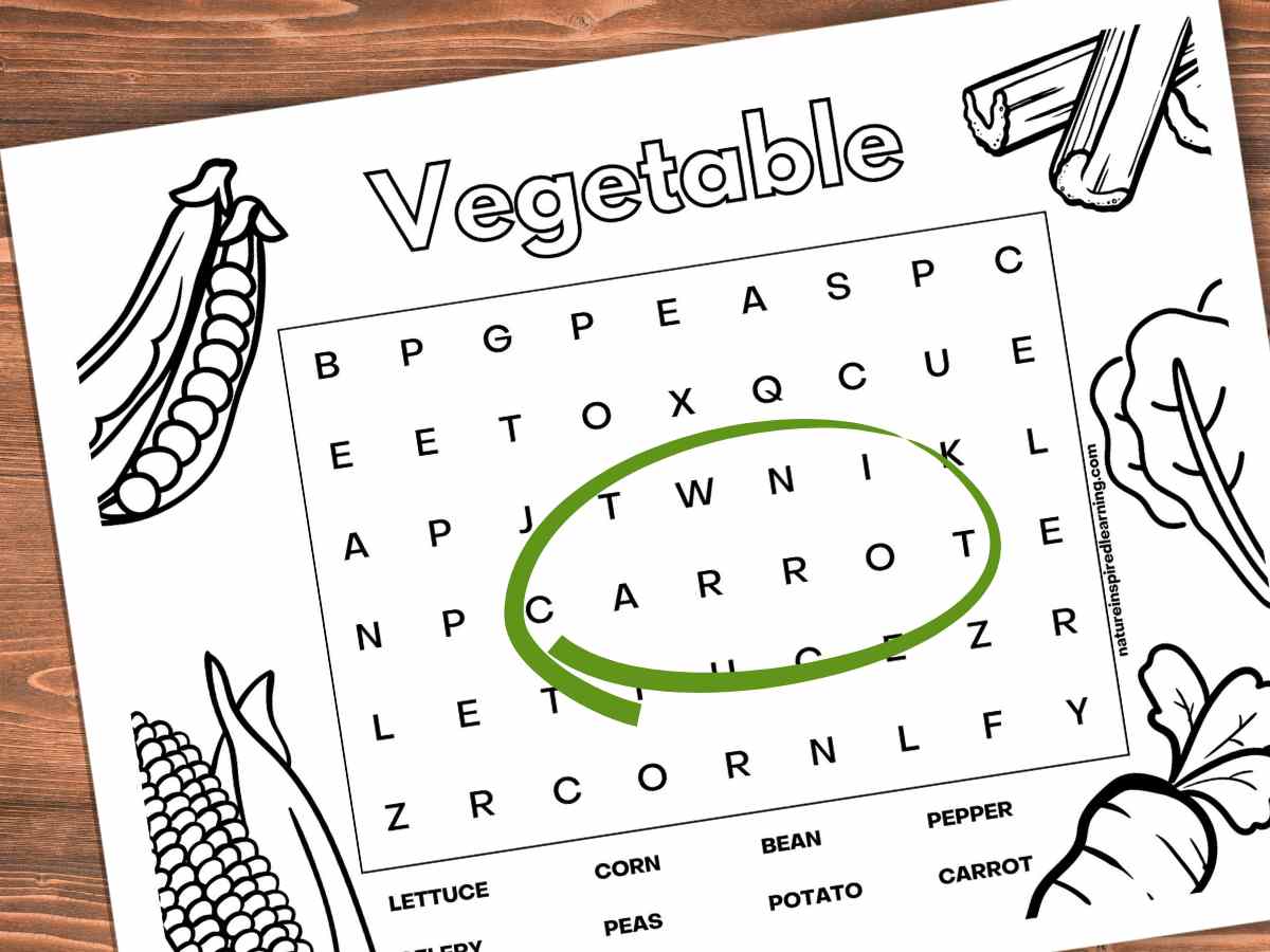 Vegetable word searches