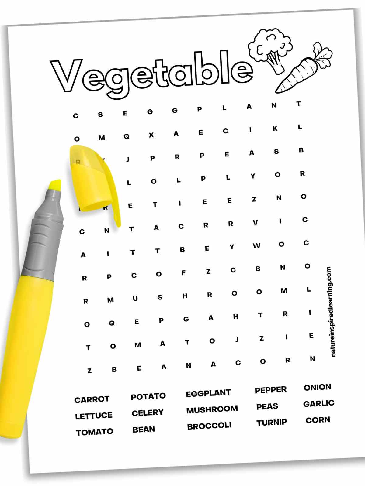 Vegetable word searches