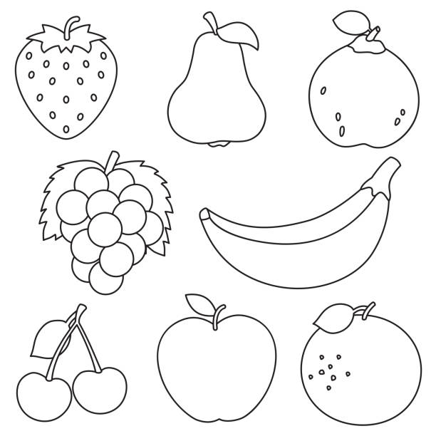 Vector illustration of fruits coloring page stock illustration