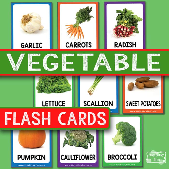 Vegetable flashcards with real life photos