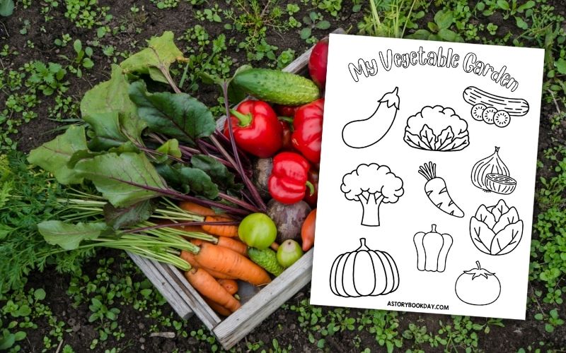 My vegetable garden coloring page