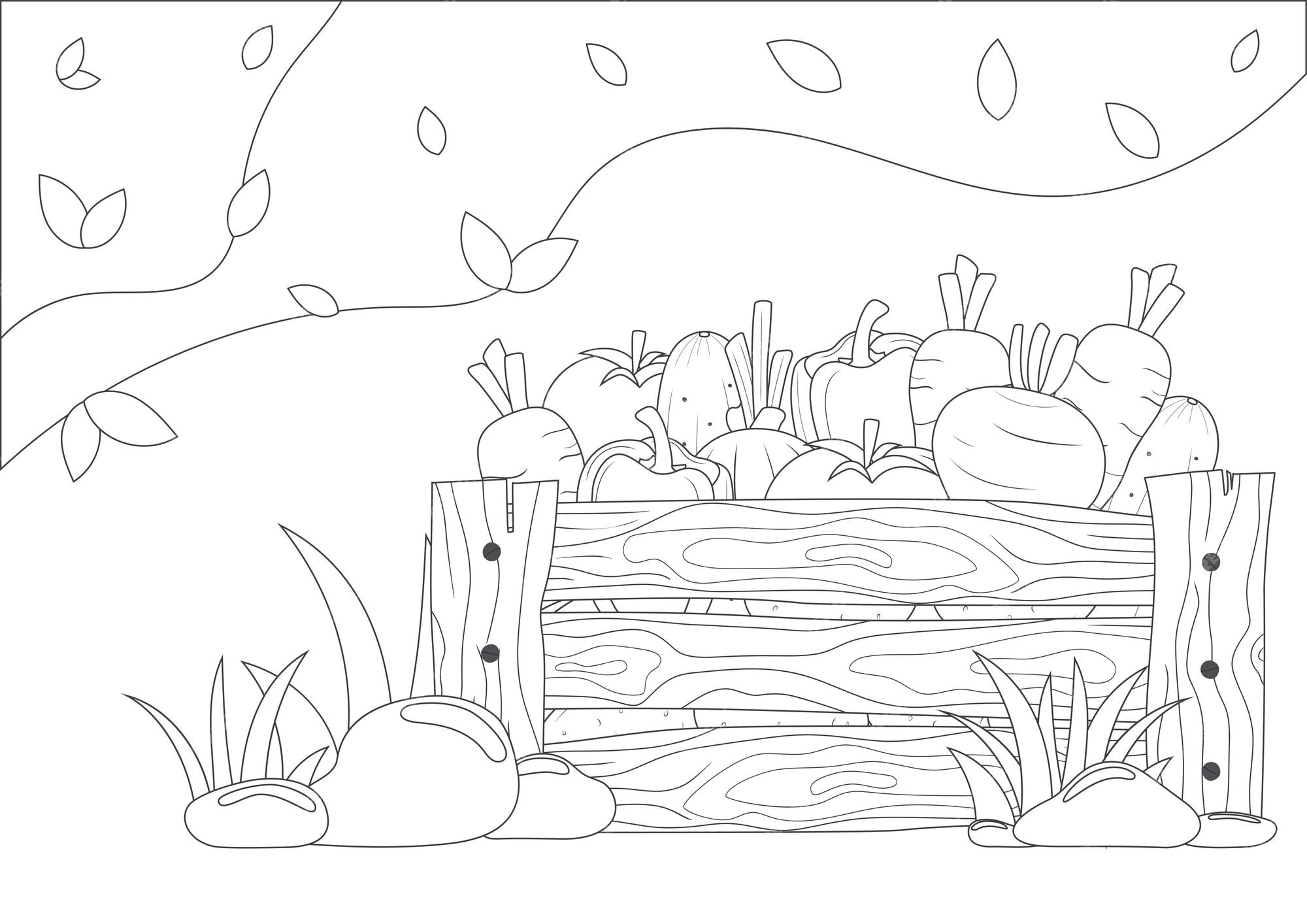 Premium vector coloring page for kids vegetables in the wooden box printable coloring pages layout in a