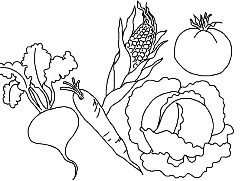 Vegetable coloring pages