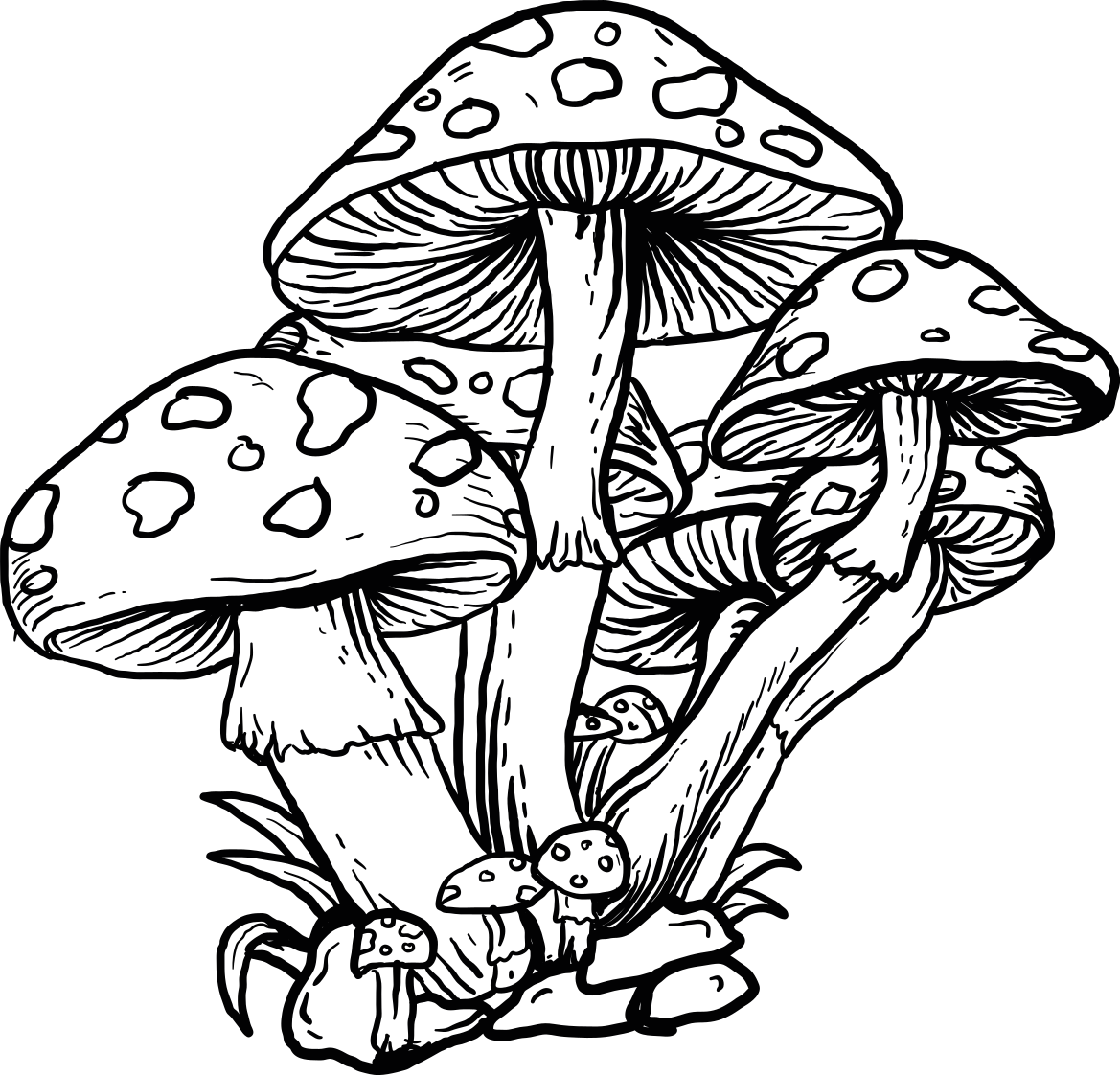 Hãndtegnet illustration champignon tapet klistermãrker