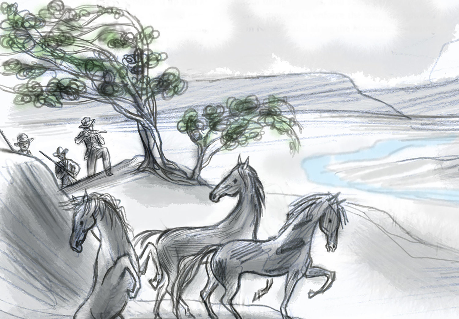 Wild horse annie illustrated by steven salerno â steven salerno