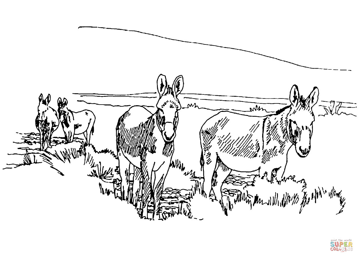 Wild horses coloring page free printable coloring pages