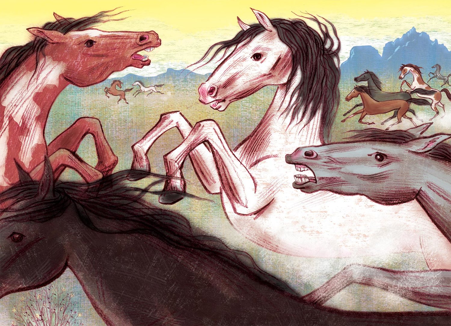 Wild horse annie illustrated by steven salerno â steven salerno