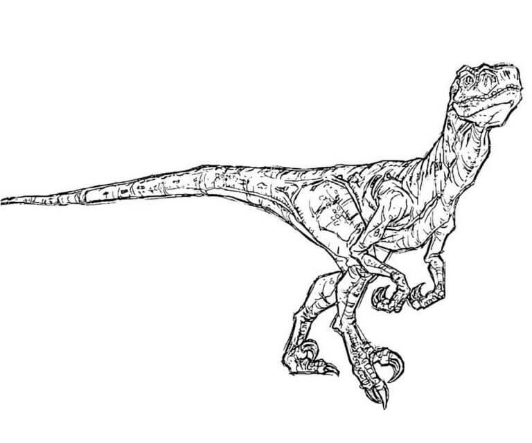 Velociraptor coloring page