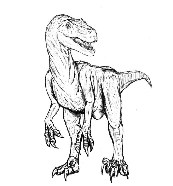 Velociraptor coloring pages