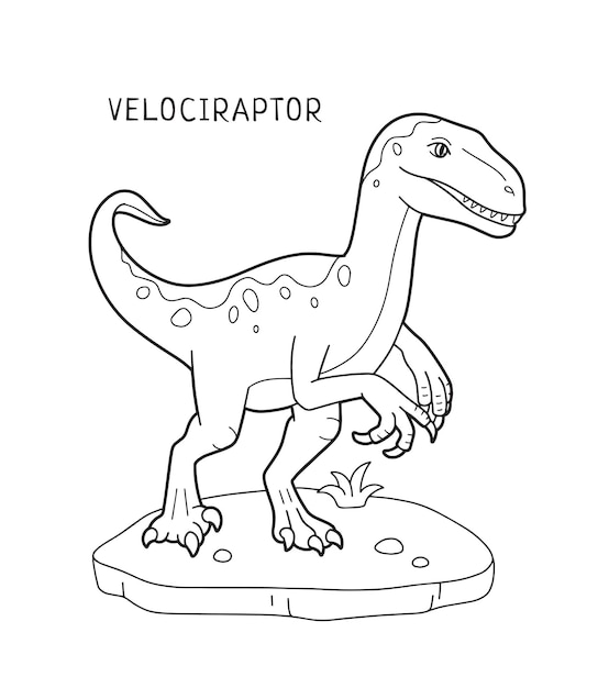 Premium vector velociraptor dinosaur coloring page for kids