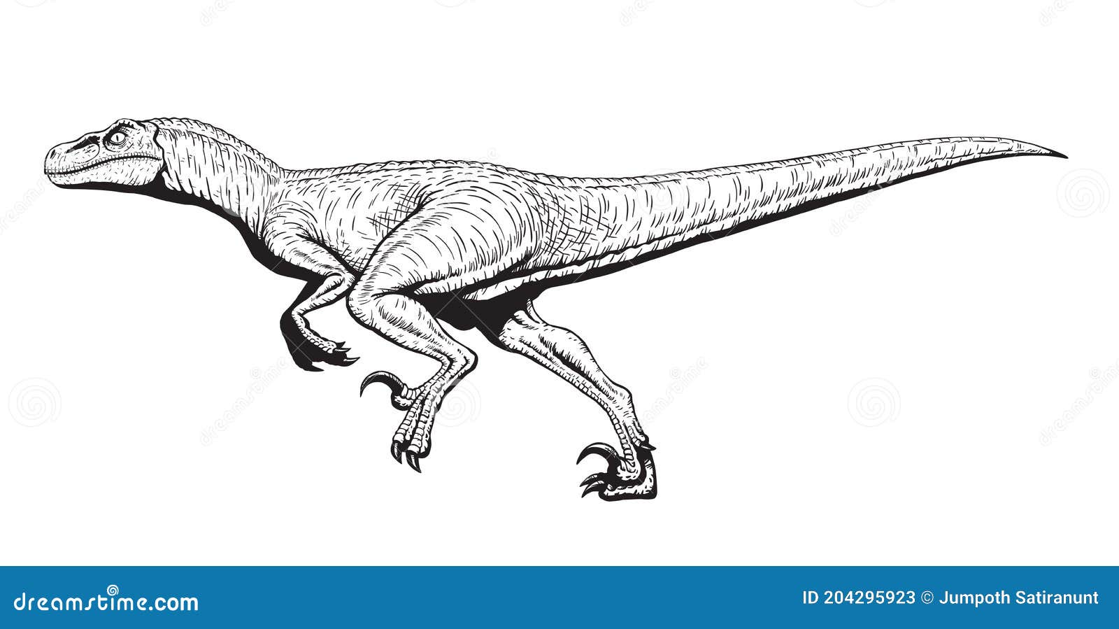 Running velociraptor drawing line art raptor dinosaurs coloring page isolated on white background vector illustration stock vector