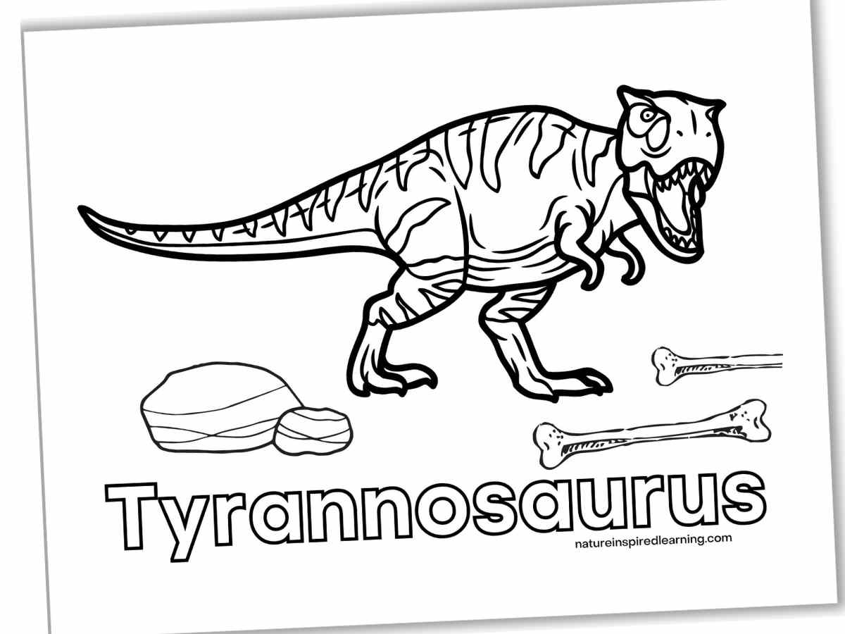 Dinosaur coloring pages