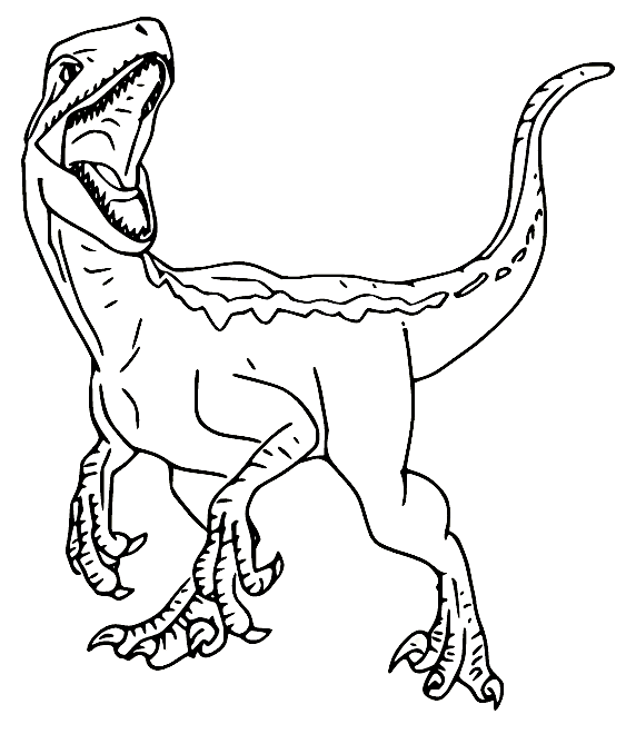 Velociraptor coloring pages printable for free download