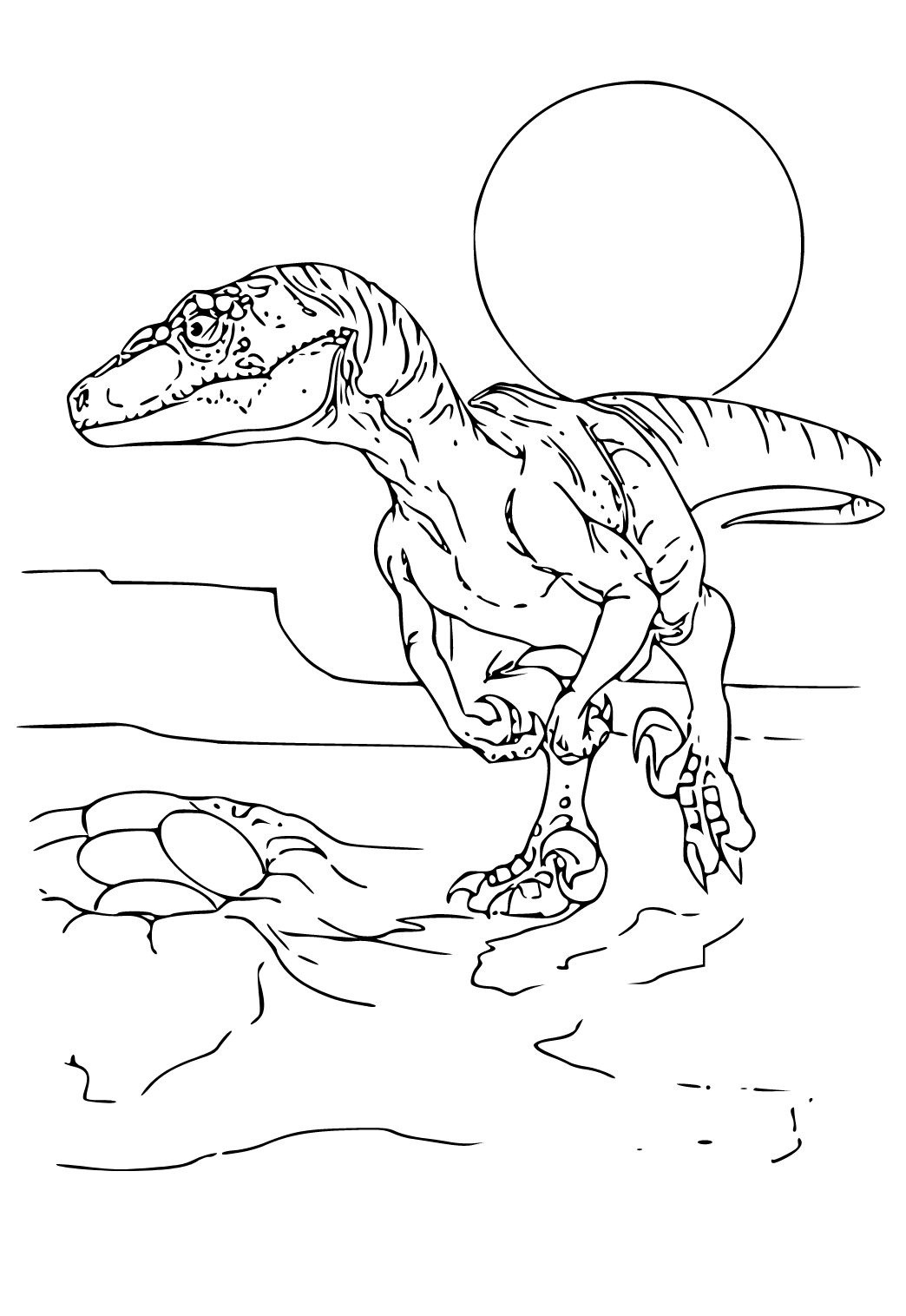 Free printable velociraptor eggs coloring page for adults and kids