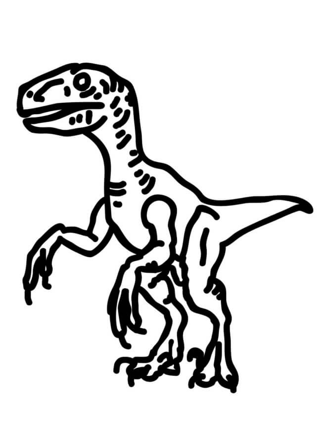 Drawing velociraptor coloring page