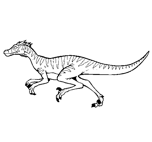 Velociraptor coloring page