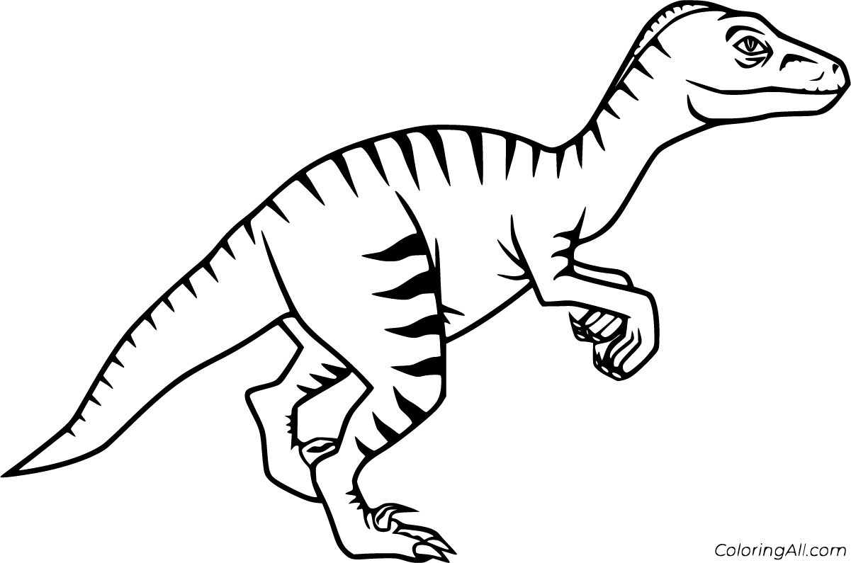 Velociraptor coloring pages