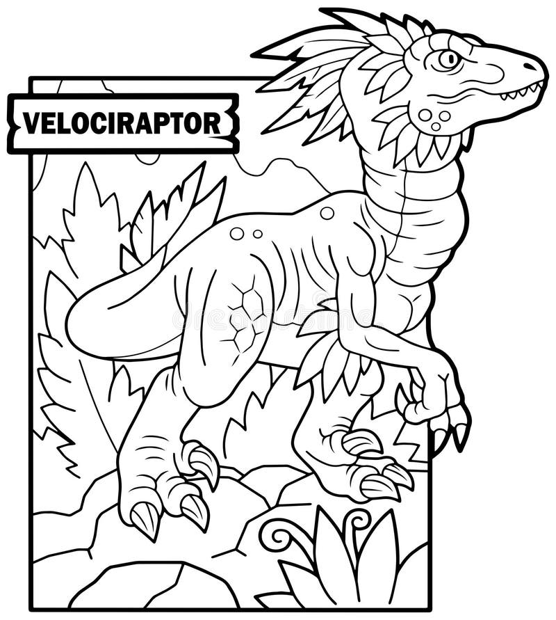 Dinosaur velociraptor coloring page outline illustration stock vector