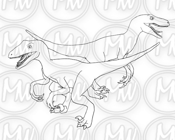 Dinosaur velociraptor printable coloring page digital stamp illustration coloring book instant download line art crafts cards