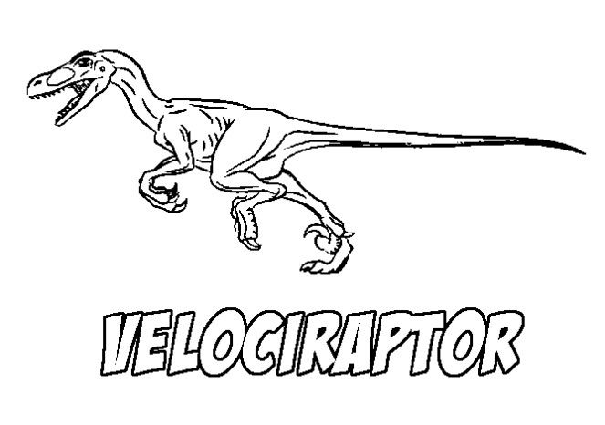 Velociraptor coloring pages