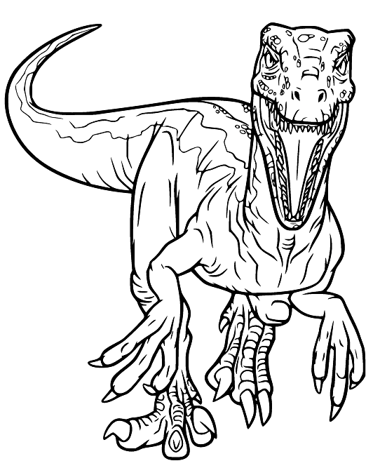 Velociraptor coloring pages printable for free download