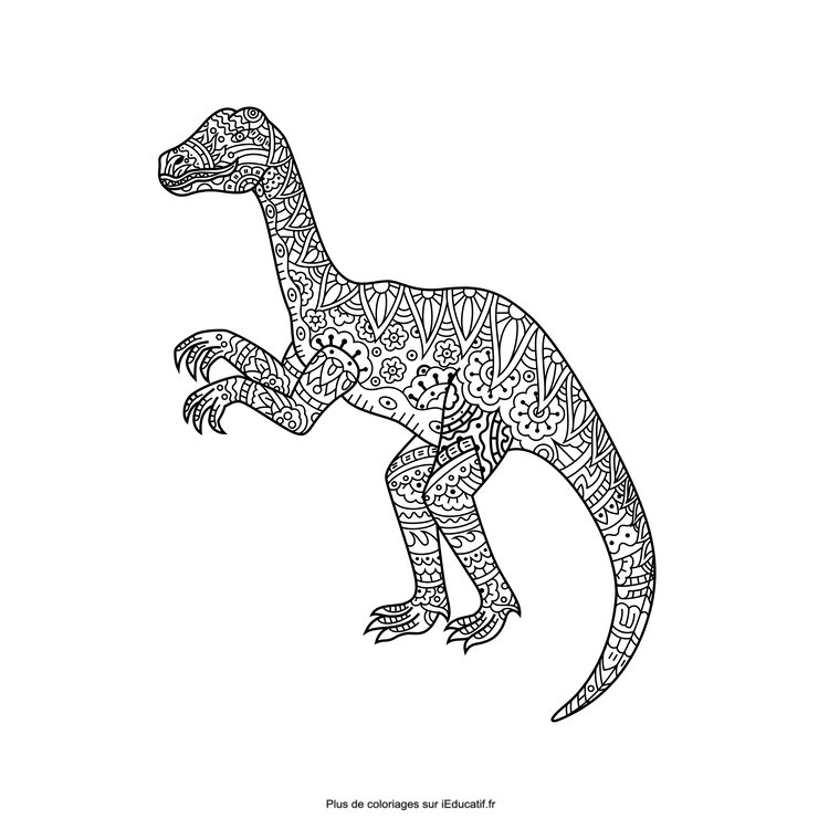 Coloring pages dinosaur mandala raptor printable