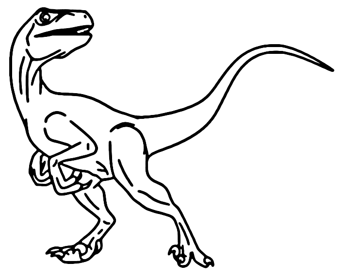 Velociraptor coloring pages printable for free download