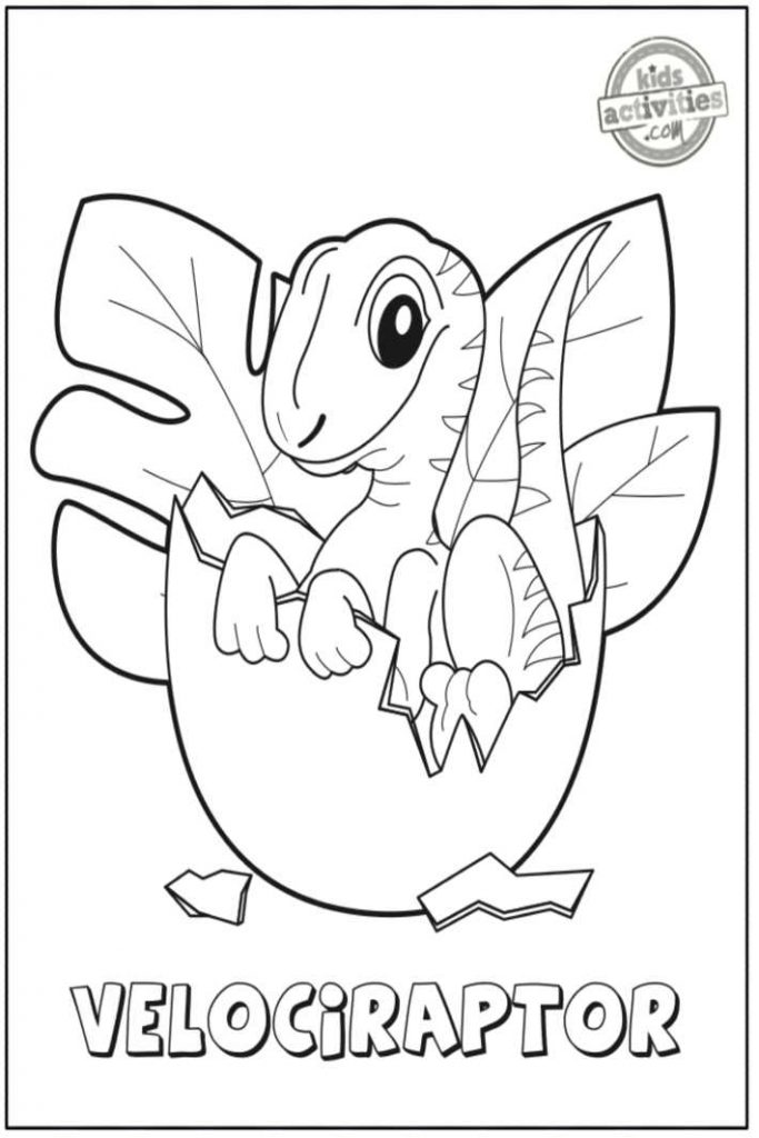Printable velociraptor dinosaur coloring pages kids activities blog