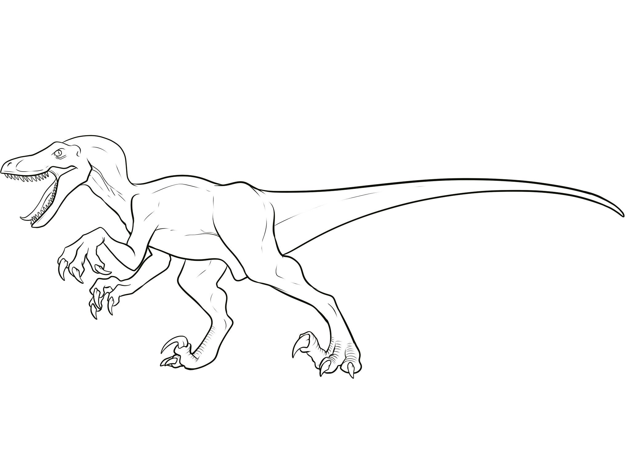 Velociraptor coloring pages