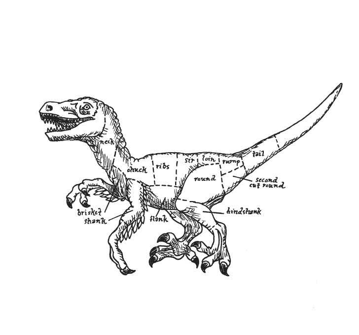 Velociraptor book