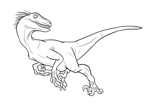 Velociraptor outline images â browse photos vectors and video